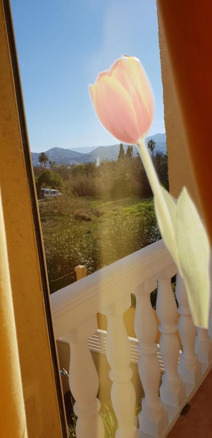 Apartamento Mar Y Sol, Denia Dış mekan fotoğraf