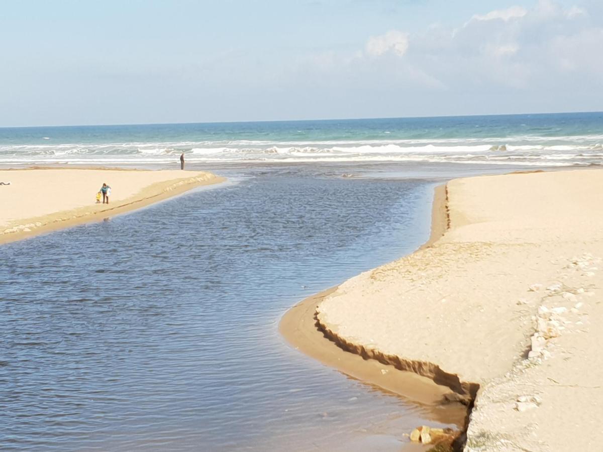 Apartamento Mar Y Sol, Denia Dış mekan fotoğraf